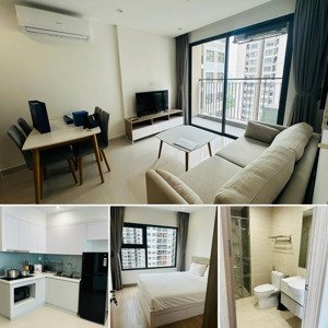 cho thuê căn hộ 1pn, 43m2 tại the sapphire 2, 7 triệu vnd/th, view đẹp