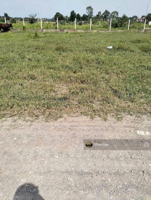 đất gần trại giam công an tỉnh bến tre, lộ cầu gừa, xã phú nhuận, bến tre, 120m2/559 triệu. shr