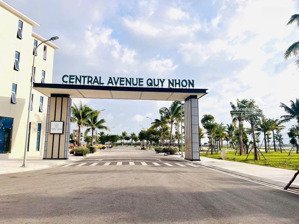 bán đất nền dự án central avenue tại cát tiến, 22 triệu / m2, 100 m2