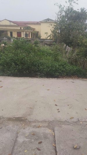 chính chủ bán lô đất khu trường cấp 3, thị trấn hợp hòa, huyện tam dương dt 153,5m mt 5m