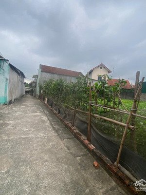 bán đất mặt tiền 19.4m, giá đầu tư, liên xã, xã thanh bình, chương mỹ, hà nội, quy hoạch đẹp