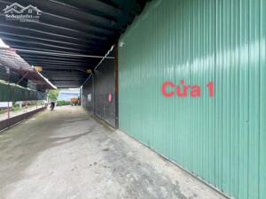 BDS HVL 1: Kho xưởng vị trí hiếm gặp: P. Bình Thọ, Tp. Thủ Đức. 2MT