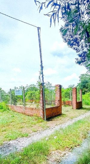 bán 303mv đất vườn phường vĩnh tân, thành phố tân uyên, tỉnh bình dương.