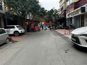 bán biệt thự mỹ đình - 185m2, giá chỉ 40 tỷ - rẻ nhất khu vực