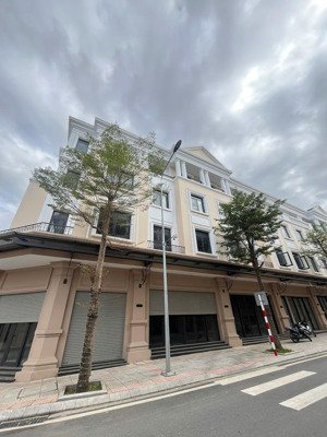 cơ hội đầu tư sinh lời! bán căn shophouse lô kế góc mg01 vin quảng trị - dt lớn, giá ngộp chỉ 5.3tỷ