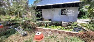 cho thuê 2500 m2, có nhà 120m2 còn lại là đất, có thể trồng trọt hoặc chăn nuôi