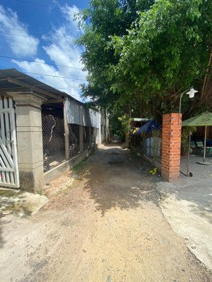 đất giá rẻ tại thành phố tây ninh