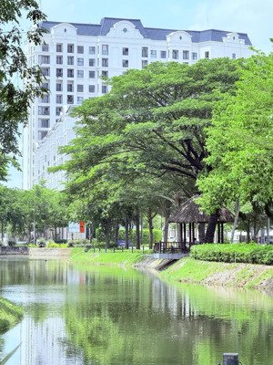 cho thuê căn hộ 1pn, 2pn, căn góc ở swanbay