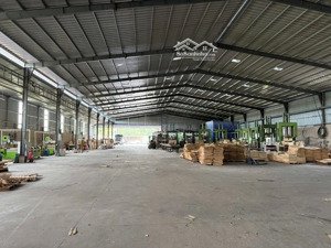 cho thuê kho, nhà xưởng, đất tại xã long nguyên, bàu bàng, bình dương, 225 triệu, 4500 m2