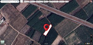 bán đất tại lê hồng phong trả nợ ngân hàng, giá 4,8 tỷ, 2007 m2, pháp lý đầy đủ