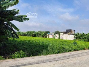 bán gấp 2.000 m2 đất ở vĩnh lộc b - bình chánh, dt: 40 x 50m, tách 2 sổ mỗi sổ 20x50m