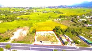 bán gấp 3205m , có 1000m đất ở đô thị còn lại cây lâu năm