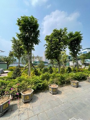 lô góc phố tư đình hiếm đón sóng cầu trần hưng đạo