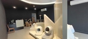 cần cho thuê nhà nguyên căn khu him lam vị trí đẹp kd, mở vp, spa hầm 4 tầng giá 45tr, có thang máy