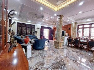 biệt thự nhà vườn - phường đằng hải - gần phố trần hoàn - trung tâm quận hải an