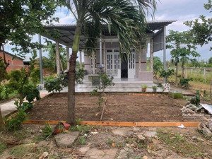 kẹt tiền bán gấp nhà vườn 1000m2 sổ hồng riêng giá rẻ, ngay trung tâm thị trấn cần đước, long an