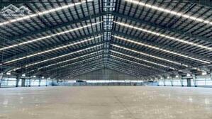 Cho Thuê Kho, Nhà Xưởng, đất Tại Xã Long Nguyên, Bàu Bàng, Bình Dương, 225 Triệu, 4500 M2