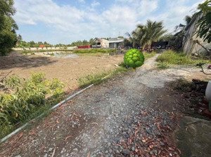 đất chủ gửi bán hộ, đường nguyễn thị bài, cần giuộc, long an. gần ql 50, 110m2/800triệu