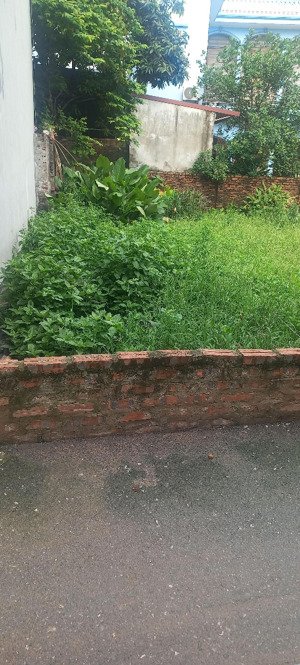 bán mảnh đất 52m2 trong đê yên nghĩa - ngõ thông - ô tô qua cửa - gần trường chợ