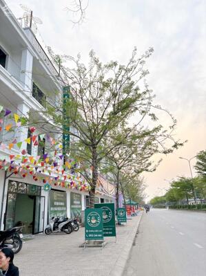 Nhà 4 tầng sẵn sổ trao tay luôn đón sóng Vin Liên Hà cách chỉ 2km.