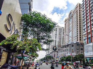 bán nhà riêng tại lý thường kiệt, 116,5 tỷ, diện tích đất 581m2, chính chủ giá cực chất, q11, hcm