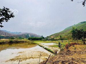 cần bán lô đất gần 1650m2 tại kim bôi, view ruộng cực thoáng, giá chỉ 2.x tỷ