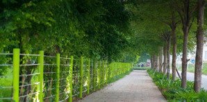 em cần bán căn 3 phòng ngủ 100m2 tại tecco garden. sẵn sổ. giá chỉ 5,2 tỷ. lh tư vấn 