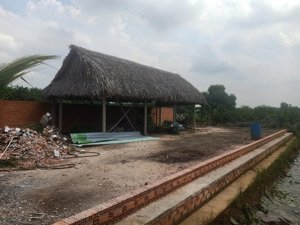 đất vườn trái cây, ao cá gần sông sài gòn chỉ hơn 2tr/m2