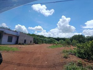 v/c cô 8 bán đất 1000m2/550tr mt nhựa sát dân cư đầy đủ tiện ích đối diện kcn đp. vy)