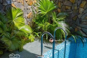 biệt thự hồ bơi đà nẵng nam việt á - ngũ hành sơn - lê hy cát nối dài - khách tây thuê 21 triệu