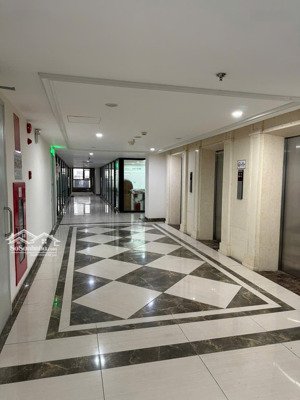 tập đoàn hải phát cho thuê gấp sàn vp tổ hợp roman plaza - mỗ lao, s 60,6 m2 đến 100m2, giá rẻ nhất