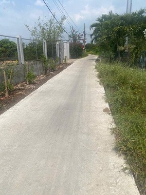 bán gấp vườn 500m2 đường xe tải gần bv nhi đồng bình chánh
