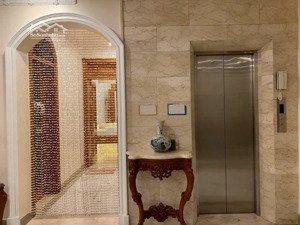 vip !bán biệt thự hồ biểu chánh - q. phú nhuận (11x26) _tháng máygiá 52 tỷ ms tâm 