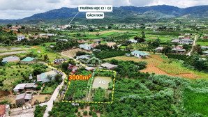 đất vườn nghỉ dưỡng giá rẻ bảo lộc, có sẵn thổ cư, vườn cây, ao cá, gần khu vực dân cư, trường học
