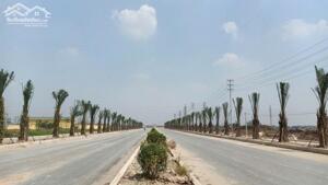 Chuyển nhượng 2,73ha, 3,65ha, 7,34ha đất khu công nghiệp Visip Quảng Ngãi.
