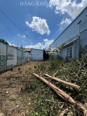 bán đất đẹp tăng nhơn phú a nở hậu 244.5m² giá 14.95 tỷ - mặt tiền đường 8m - shr