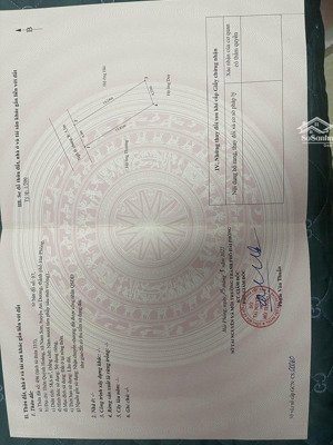 bán đất tại quỳnh hoàng, an dương, hải phòng, 1,85 tỷ, 58m2, mặt tiền 4,3m, pháp lý đầy đủ
