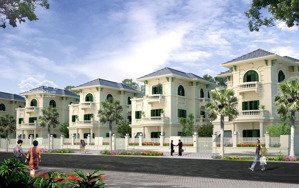nhượng suất ngoại giao 115m2 kđtm đại kim định công, gần hồ, 5 chung cư, 2 trường liên cấp