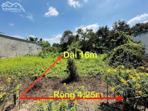 Bán nền đường cặp gạch sung quốc lộ 61c giá dưới 600 triệu