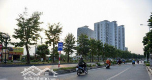 mặt phố trịnh văn bô, nam từ liêm, 220m2, 7t, kinh doanh đỉnh, giá đầu tư