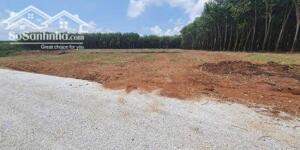 Chính chủ bán đất Hớn Quản – Đầy đủ pháp lý, giá chỉ 480 triệu!