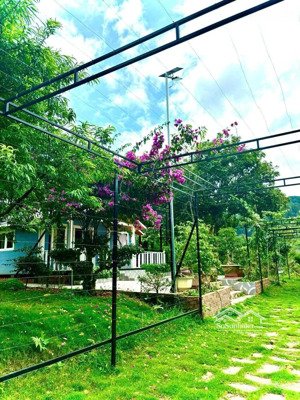 không có thời gian ở nghỉ dưỡng nên bán lại lô đất 388m2 có sẵn 2 căn bungalow +sân vườn +hồ cá koi