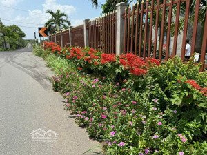 bán gần 1ha tại bình châu, xuyên mộc, bà rịa vũng tàu giá chỉ 1.9triệu/m2 cách biển gần 4km
