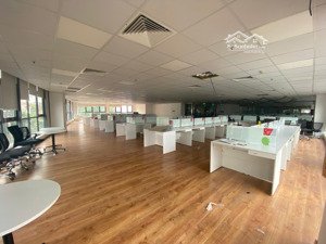 cho thuê nguyên sàn lớn 1000m2 thảo điền quận 2.. có chia nhỏ: 195m2 - 300m2 - 350m2