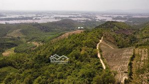 5ha đất view núi chóp chài khu vực hoà quang nam, cách tuy hoà 25km, giá mềm