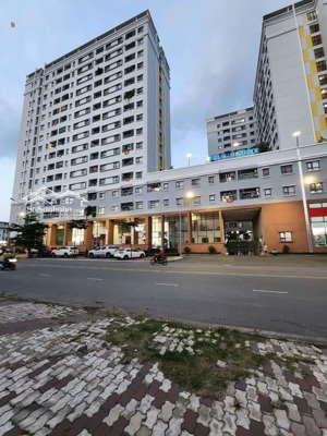 bán lô đất và nhận ký gửi đất khu dân cư bình đức, thủ đức house, chợ đầu mối, thủ đức