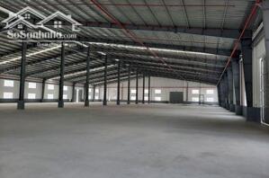 Cho Thuê Xưởng 4800m2 KCN Nhơn Trạch 6, Huyện Nhơn Trạch, Đồng Nai