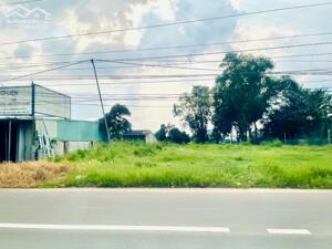 SỈ LẠI 7 NỀN ĐẤT 1400M2 THỔ CƯ THANH THỊNH THANH LƯƠNG BÌNH LONG DÂN ĐÔNG GIÁ 290 TR