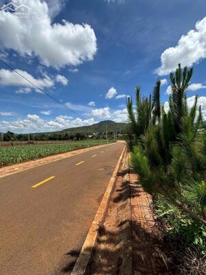 Bán 16 nền đất có 100m2 thổ cư tại Liên Hiệp - Đức Trọng - Lâm Đồng.