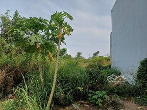 cần bán đất chính chủ ngay tại phường tân phong, thành phố biên hoà 420tr